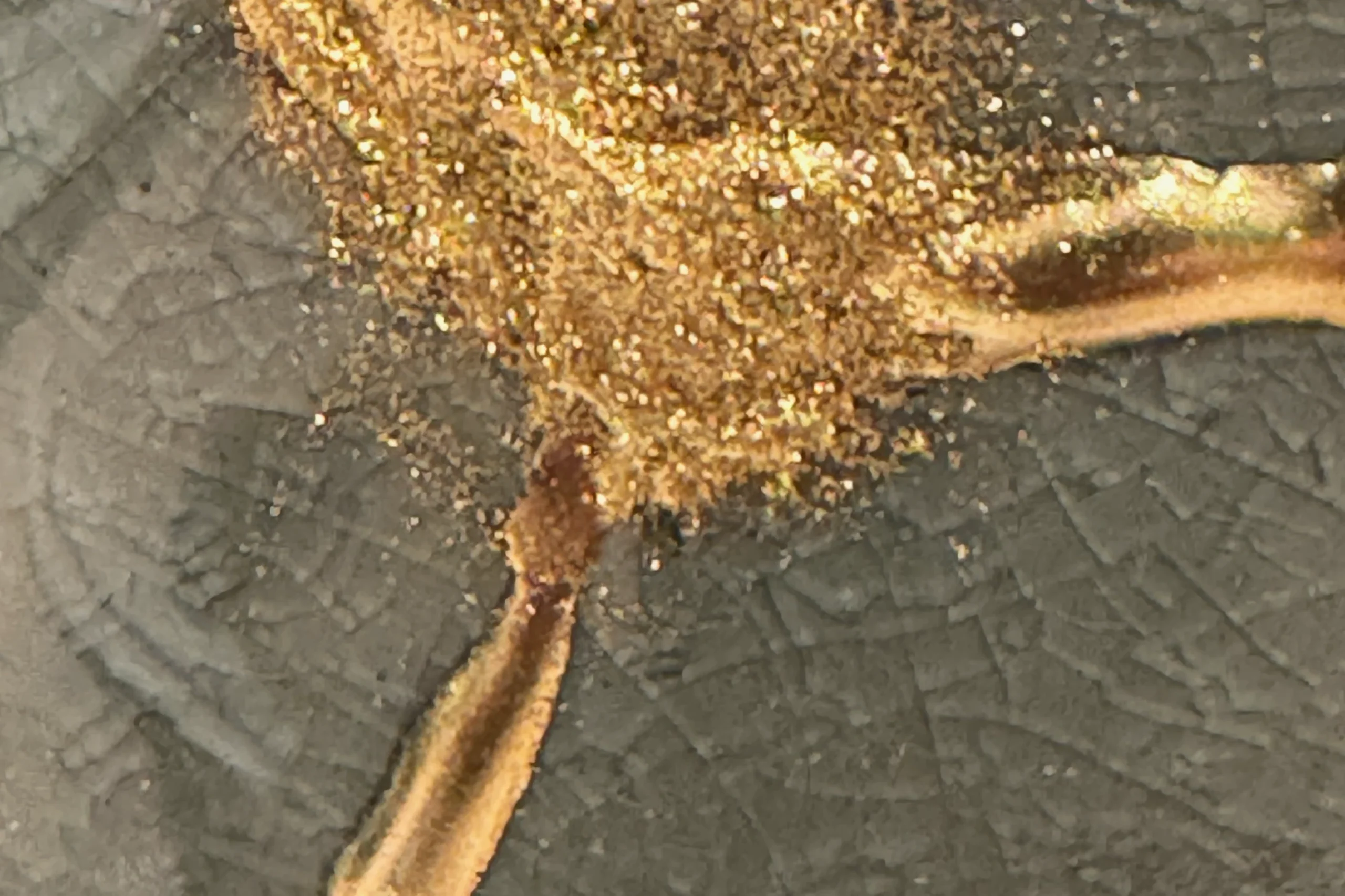 Close-up goud Close-up goud